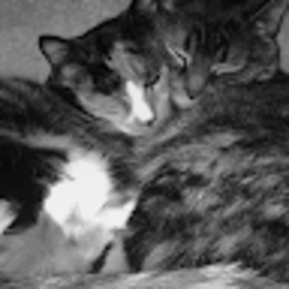 Meet your Posher, Amanda - Picture 1 of 1